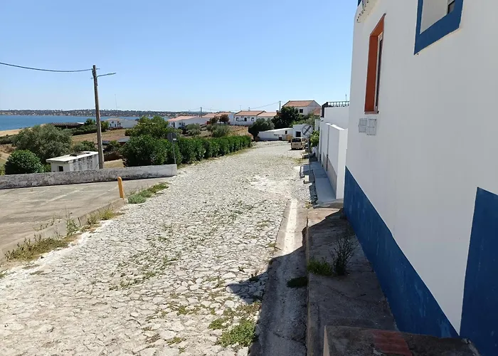 Seesterne